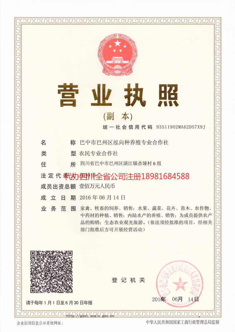 西区西区泓向种养殖专业合作社